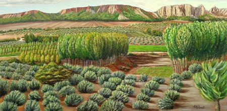 Bright Morning In Alcudia