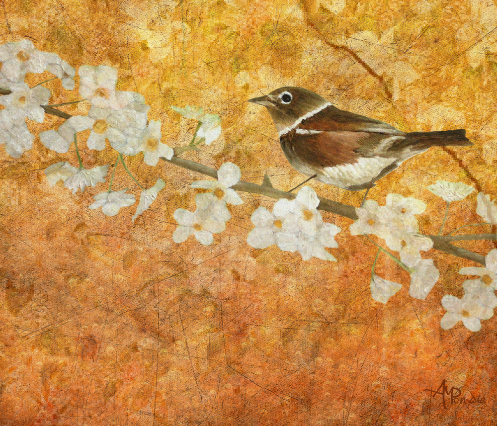 Nightingales Solstice von Angeles M. Pomata