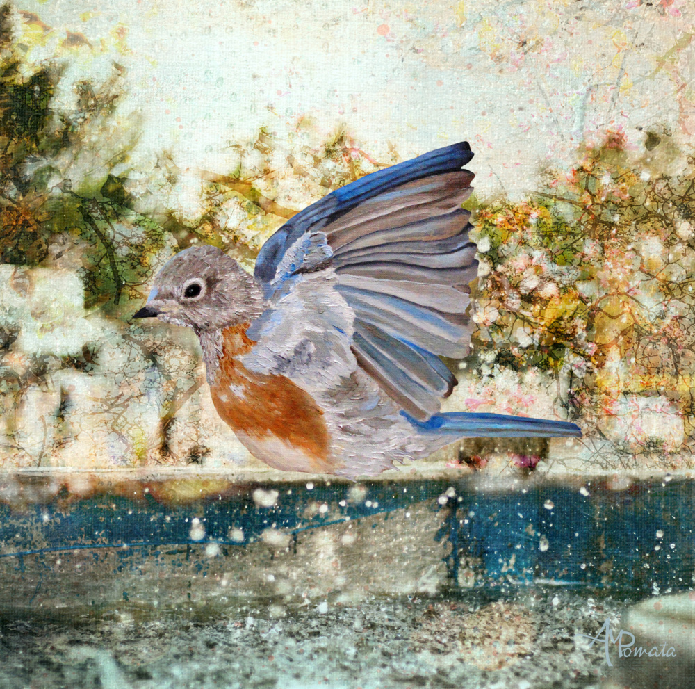 Swinging In the Rain von Angeles M. Pomata