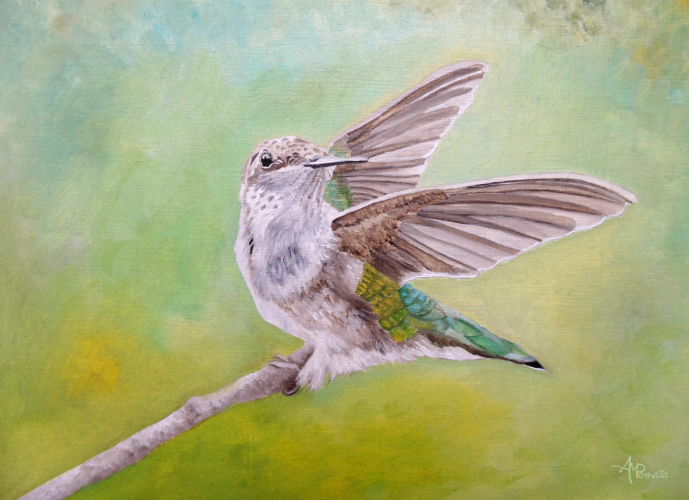 Save the Last Dance von Angeles M. Pomata