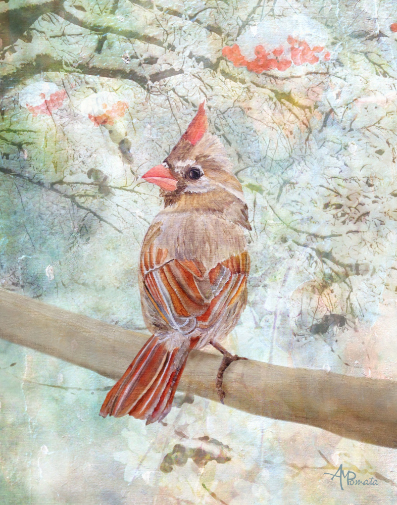 Under the Northern Light.png von Angeles M. Pomata