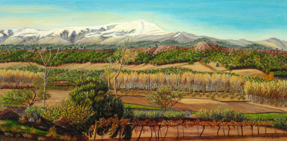 Vineyard Valley In the Sierra Nevada Surroundings von Angeles M. Pomata