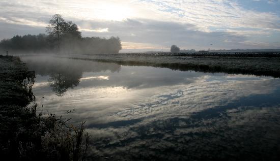 Morgenstimmung von Angelika Warmuth