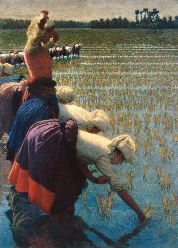 Im Reisfeld von Angelo Morbelli