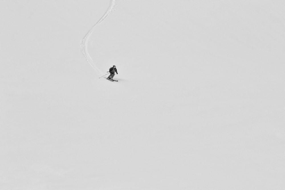 alien von Anita Palceska