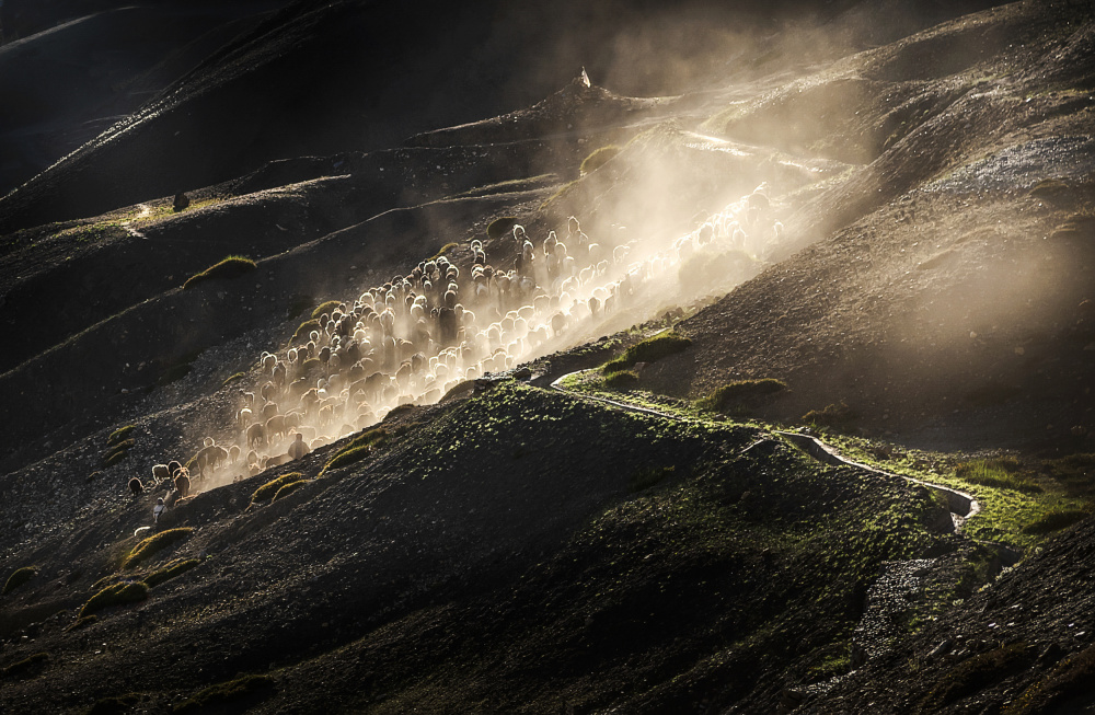 Zig zag Home von Anita Singh