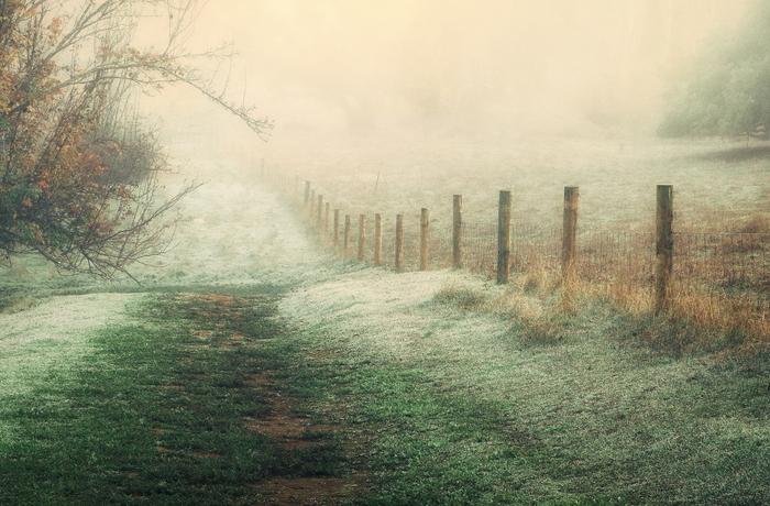 Anita Underwood Photography