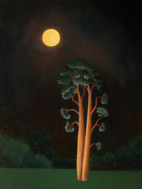 Stamford Pines von Ann  Brain