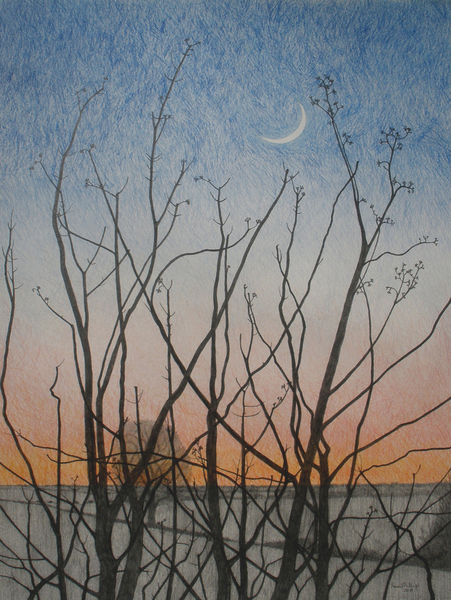 From my Window von Ann  Brain