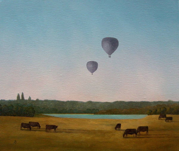 Northamptonshire Balloons von Ann  Brain