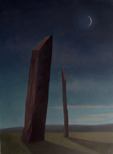 Stenness at Dusk von Ann  Brain