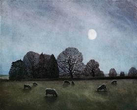 Moonlit Night, 2004 (oil on canvas) 