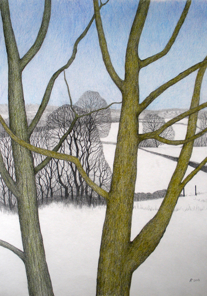 Winters Day von Ann  Brain