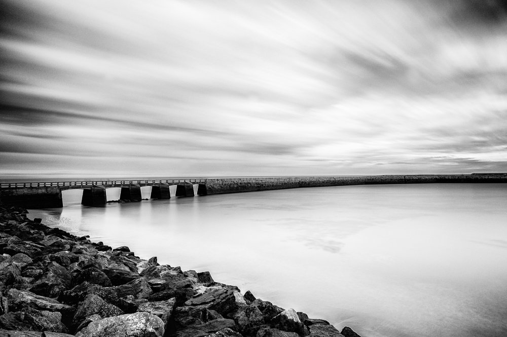 Enclosed von Ann Cornelis