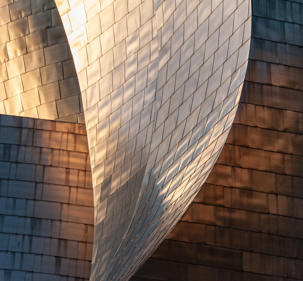 Guggenheim von Ann Cornelis