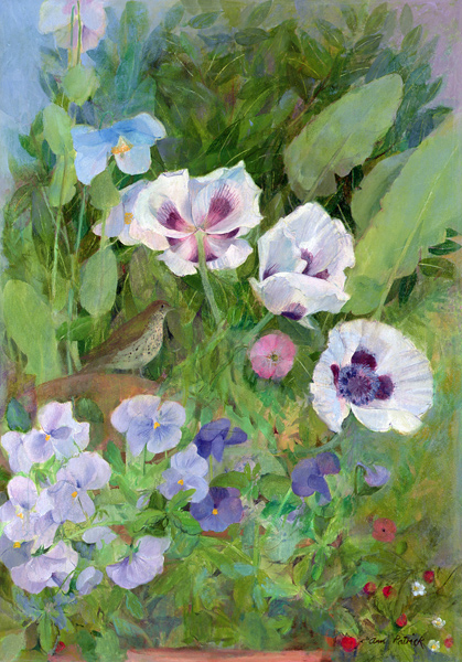 Song Thrush von Ann  Patrick