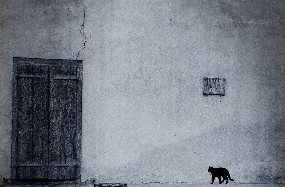 le chat noir von Anna Cseresnjes