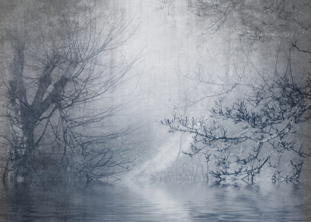 Foggy day von Anna Cseresnjes