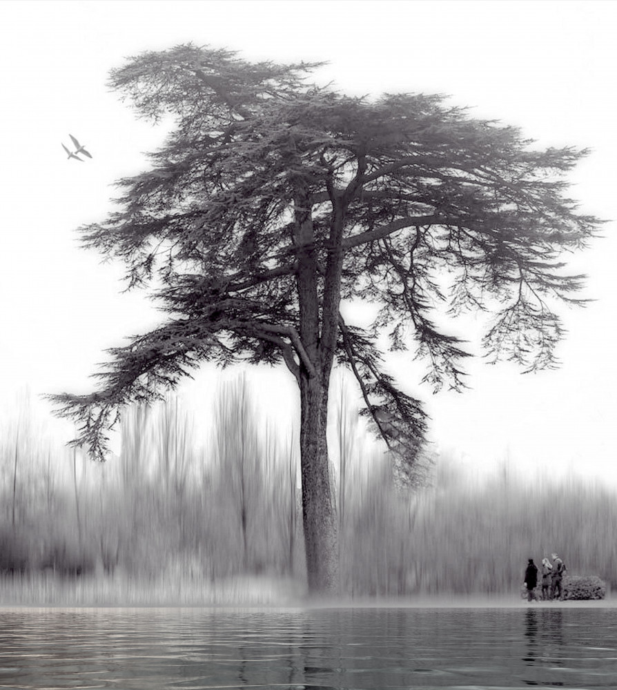 untitledl von Anna Cseresnjes