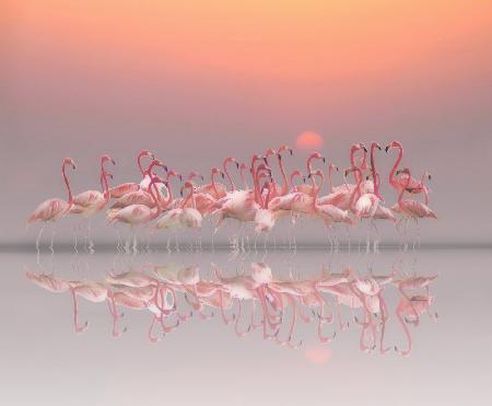 meeting before sunset