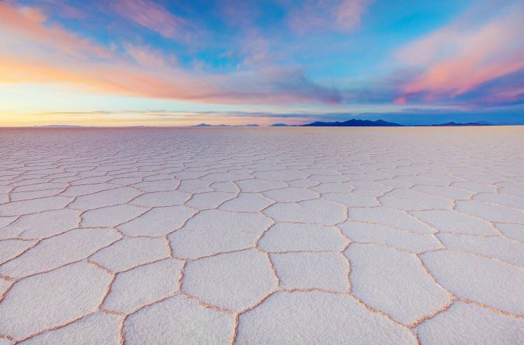 tenderness von Anna Gibiskys