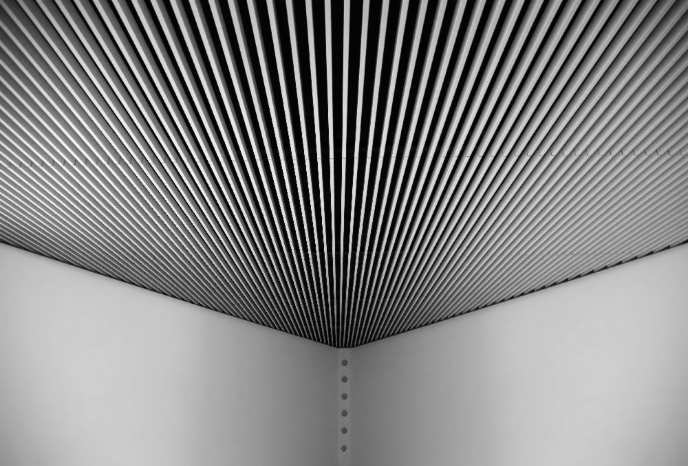 Ohne Titel von Anna Niemiec