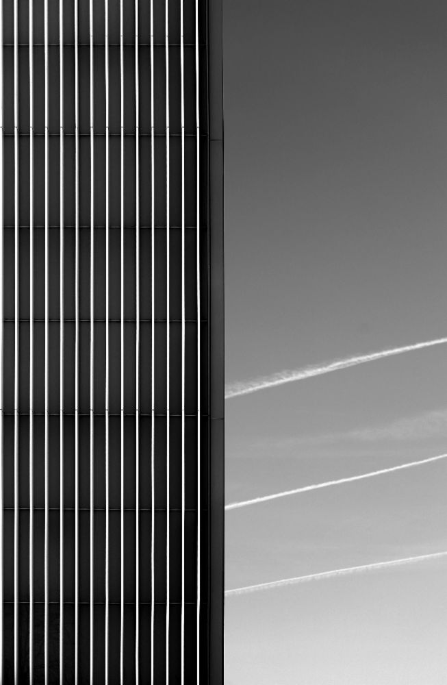 Ohne Titel von Anna Niemiec