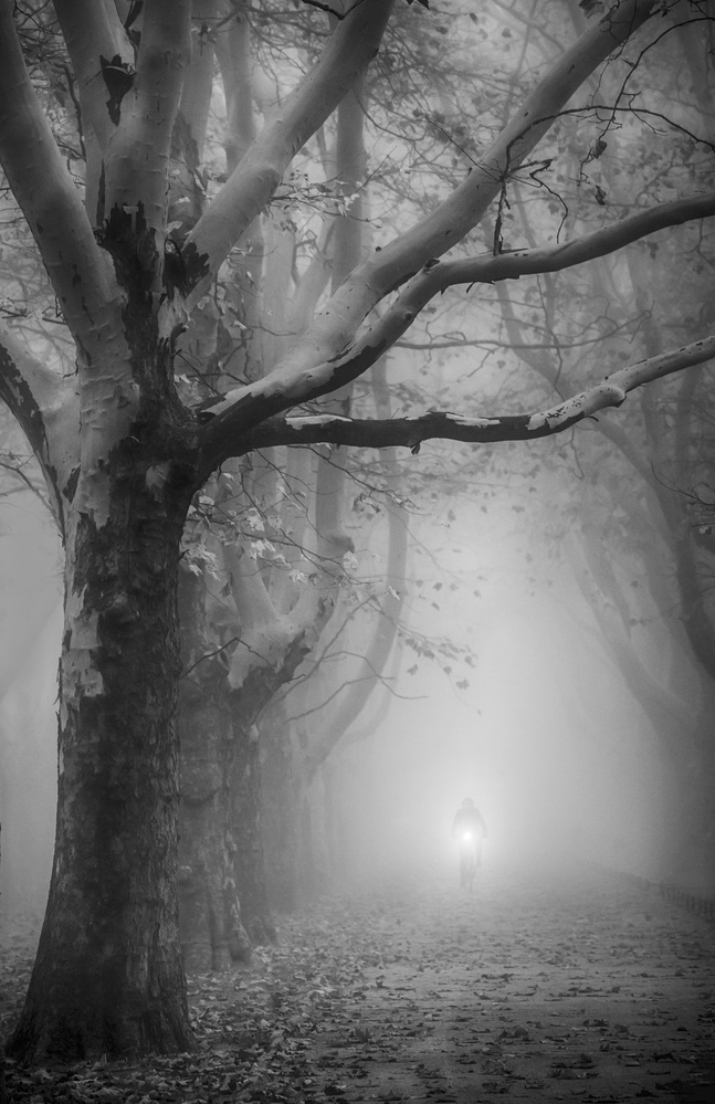 untitledl von Anna Niemiec