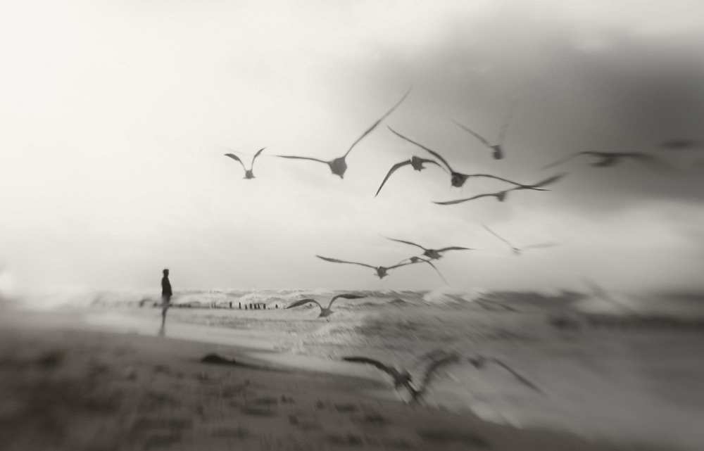 Quiet dreams... von Anna Niemiec