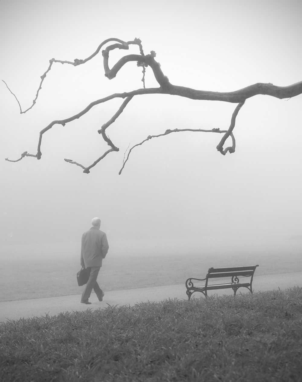 Untitled von Anna Niemiec