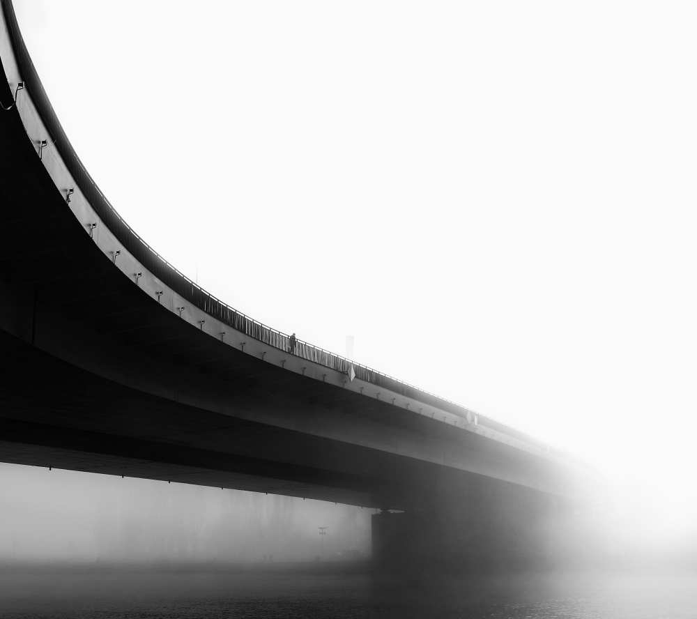 Walk into the mist von Anna Niemiec