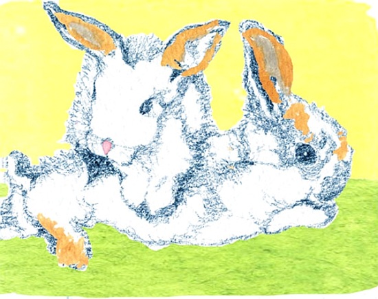 Easter Bunnies von Anna  Platts