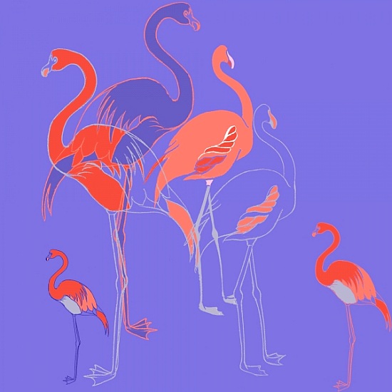 Flamingoes von Anna  Platts