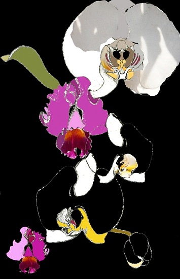 Orchid von Anna  Platts