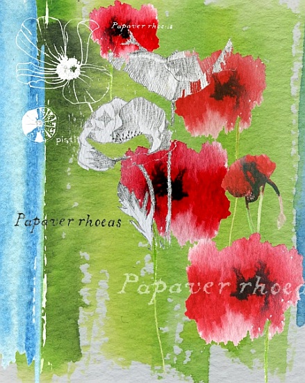 Poppy von Anna  Platts