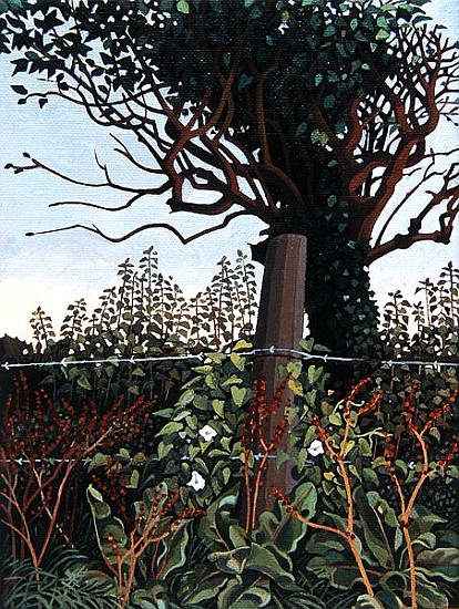 The Wire Fence (oil on canvas)  von Anna  Teasdale