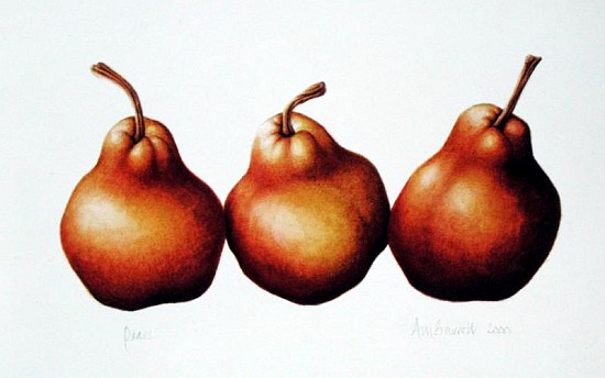 Pears, 2000 (w/c on paper)  von Annabel  Barrett