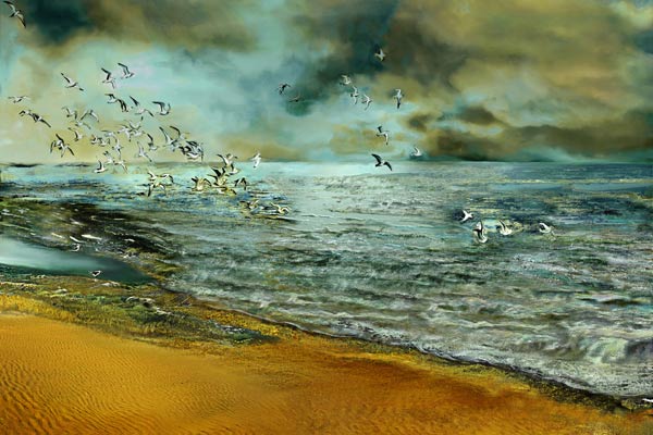 Flug der Möwen von Anne Weirich