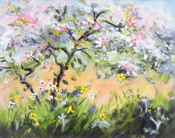 Spring Blossom (oil on canvas)  von Anne  Durham