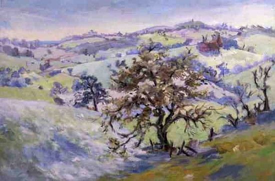 From Udimore Towards Peasmarch, Sussex, in winter (oil on canvas)  von Anne  Durham