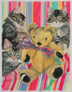 Kittens and teddy