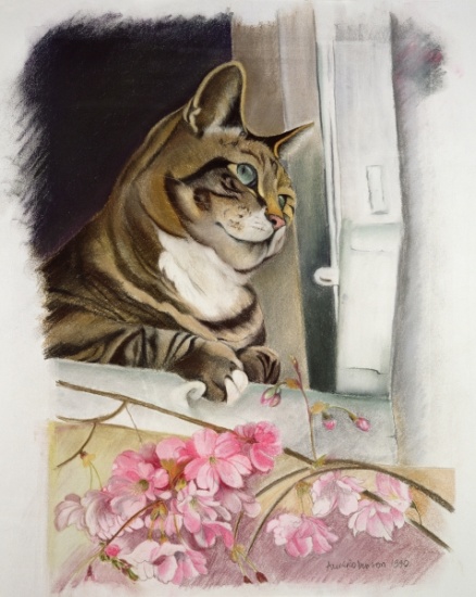 Stripy at the window von Anne  Robinson