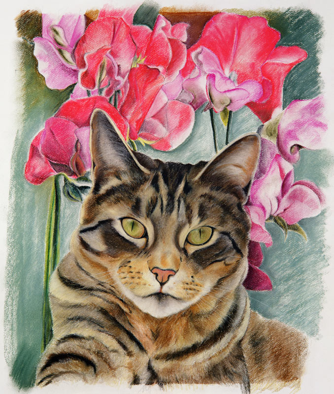 Cat with sweet peas von Anne  Robinson