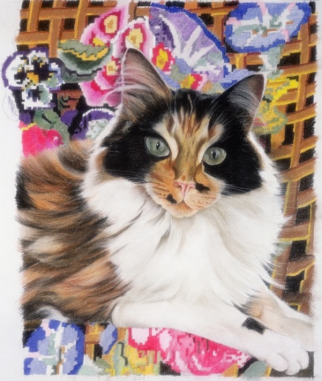 Cleo von Anne  Robinson