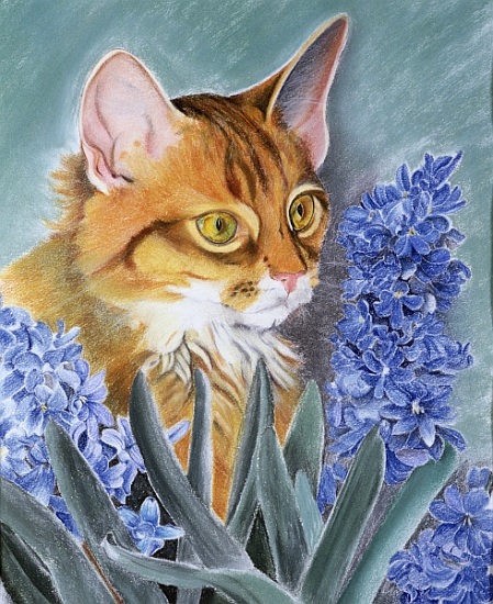 Tosca von Anne  Robinson