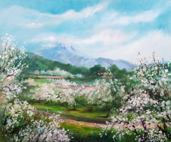 Mandelblüte auf Mallorca von Anne Scherbel