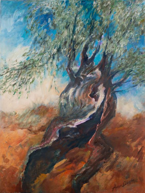 Alter Olivenbaum von Anne Scherbel