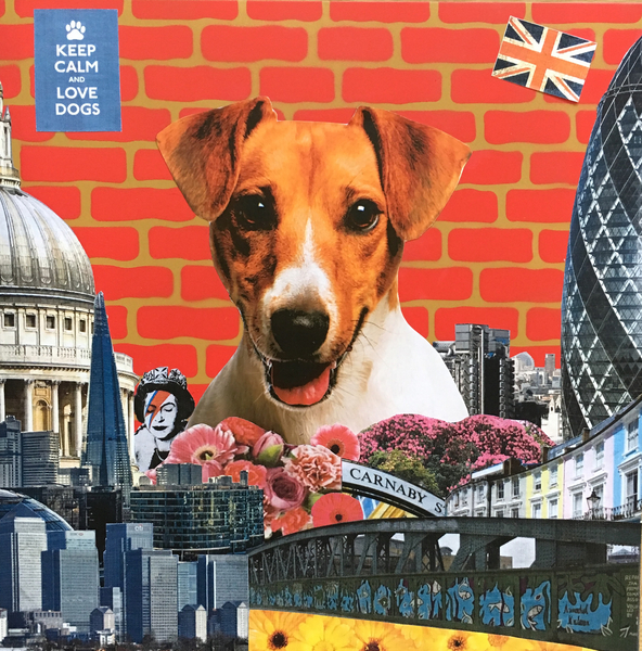 Jack Russel von Anne Storno