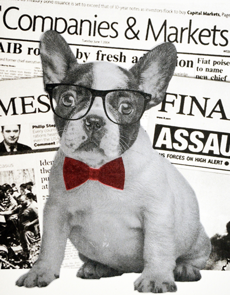 Wall street dog von Anne Storno