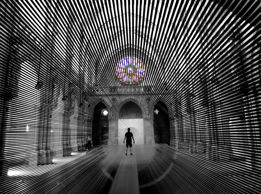 fReedOm von annehedelin